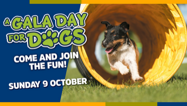 Gala Day for Dogs