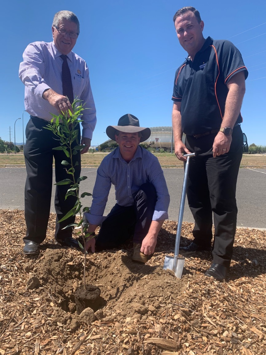 Mayor Col Murray, Hugh Leckie and Greater Bank Tamworth branch Manager Dwayne Marshall planting first tree at the Tamworth Sport and Entertainment Precinct
