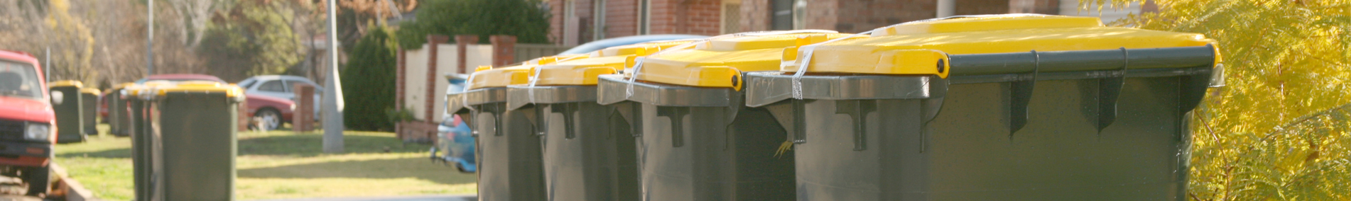 Wheely bins in a row on the kerb